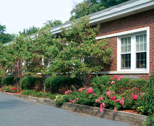 Morristown Building Entrance